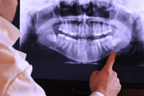 Best Emergency X-Rays and Diagnostics in Yorkshire, VA